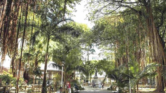 Au jardin de la Compagnie: un haut gradé de la police piège une prostituée