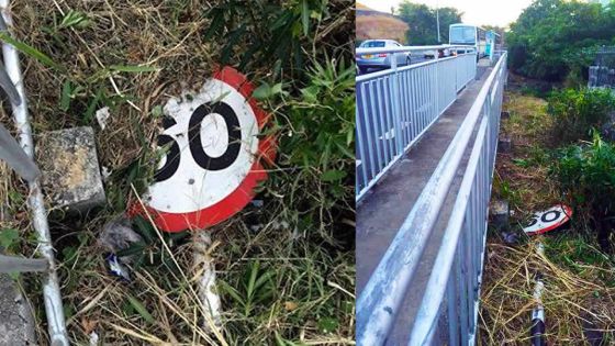 Grande-Rivière-Nord-Ouest: un panneau d’indication dans les buissons