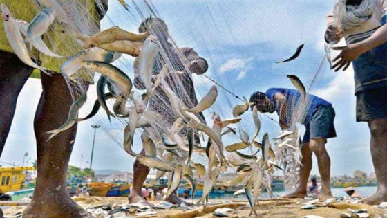 Measures to prohibit catching juvenile fish