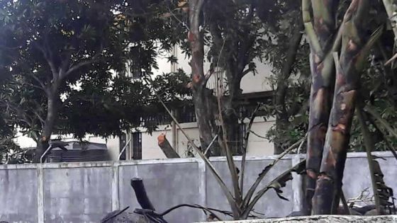 Intoxication suite à un incendie dans un champ - Un écolier: ‹‹ nous avons paniqué, nous suffoquions ››