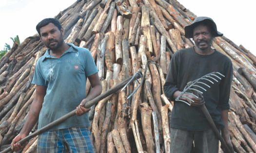 Charbonnier : Un métier tout feu, tout bois