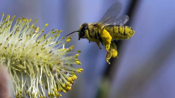 Sophrologie pour enfants: grandir de façon positive et harmonieuse