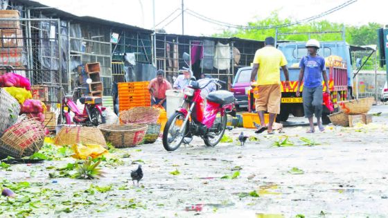 À Flacq: les planteurs contre les nouveaux horaires de vente à l’encan