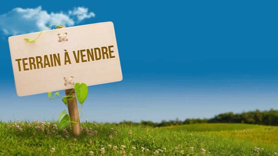 Immobilier: demande croissante pour les terrains dans des morcellements