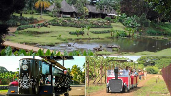 Que nous réservent ces vacances ?