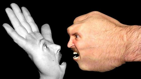 Entre violence et agressivité