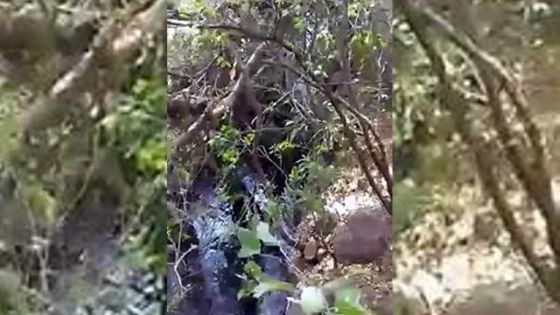 Déchets dans un canal: un entrepreneur montré du doigt