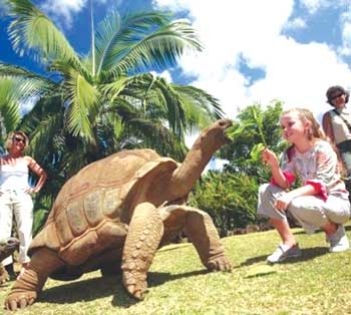 Ministry of Youth and Sports: Special Winter Holidays Programme 2016