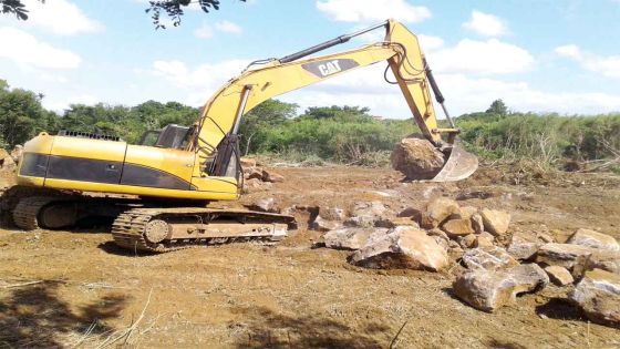 FDI trends in 2015: Real estate takes the lead