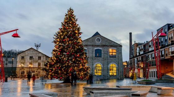 Le monde se prépare à un deuxième Noël de pandémie