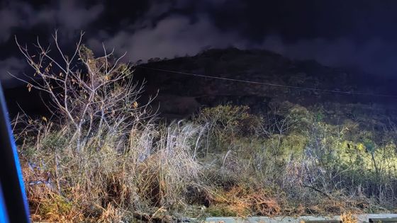 Incendie maîtrisé à Chapman Hill, Coromandel 