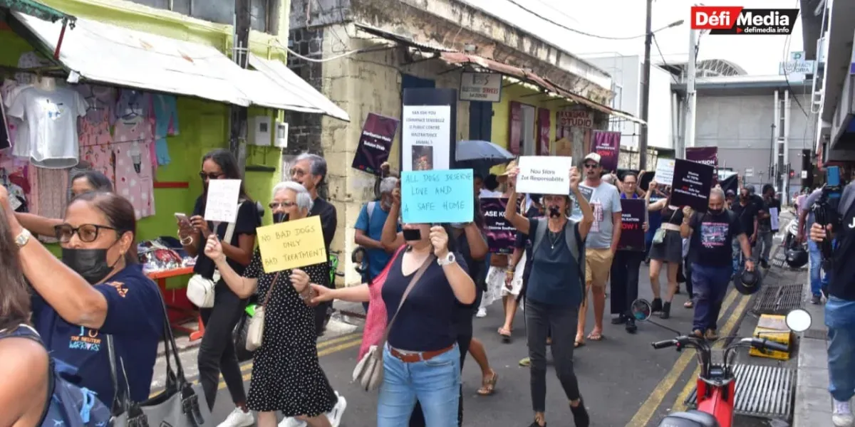 210226- marche animaux 13