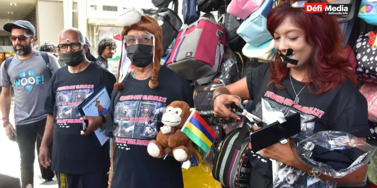 210226- marche animaux 9