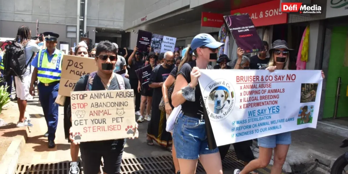 210226- marche animaux 8