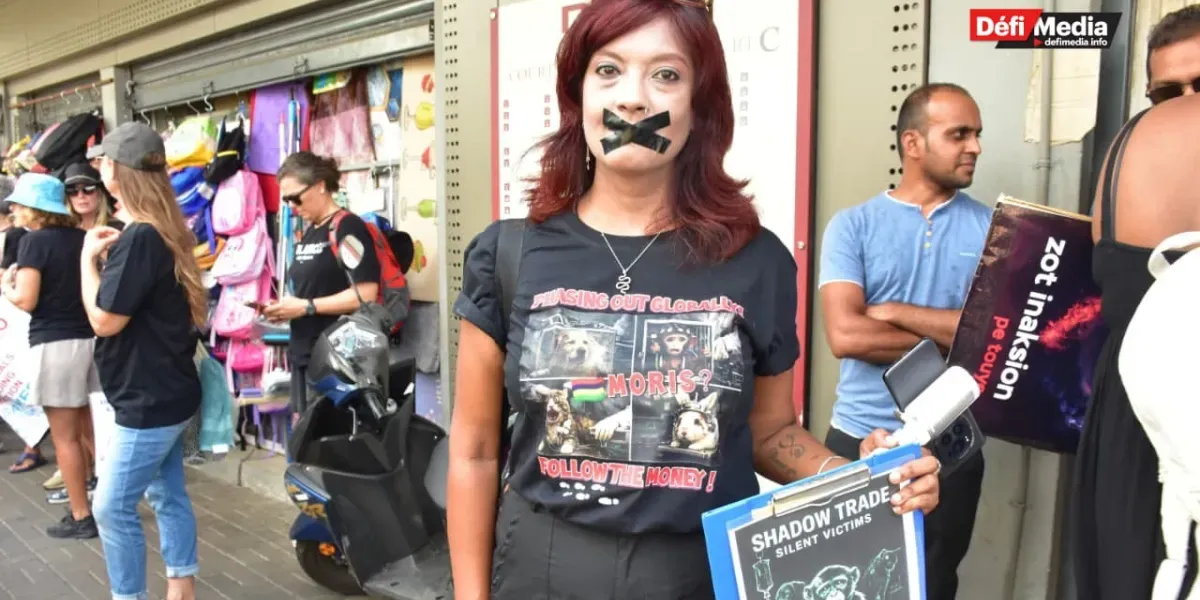 210226- marche animaux 4