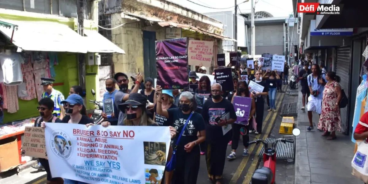 210226- marche animaux 5