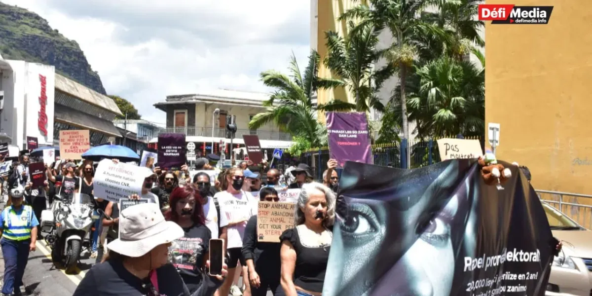 210226- marche animaux 6