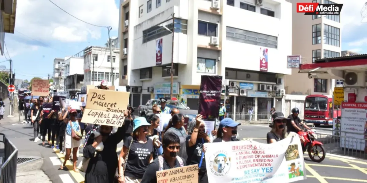 210226- marche animaux