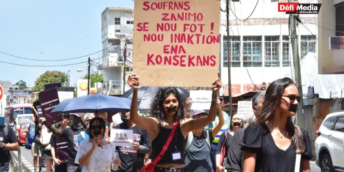 210226- marche animaux 2