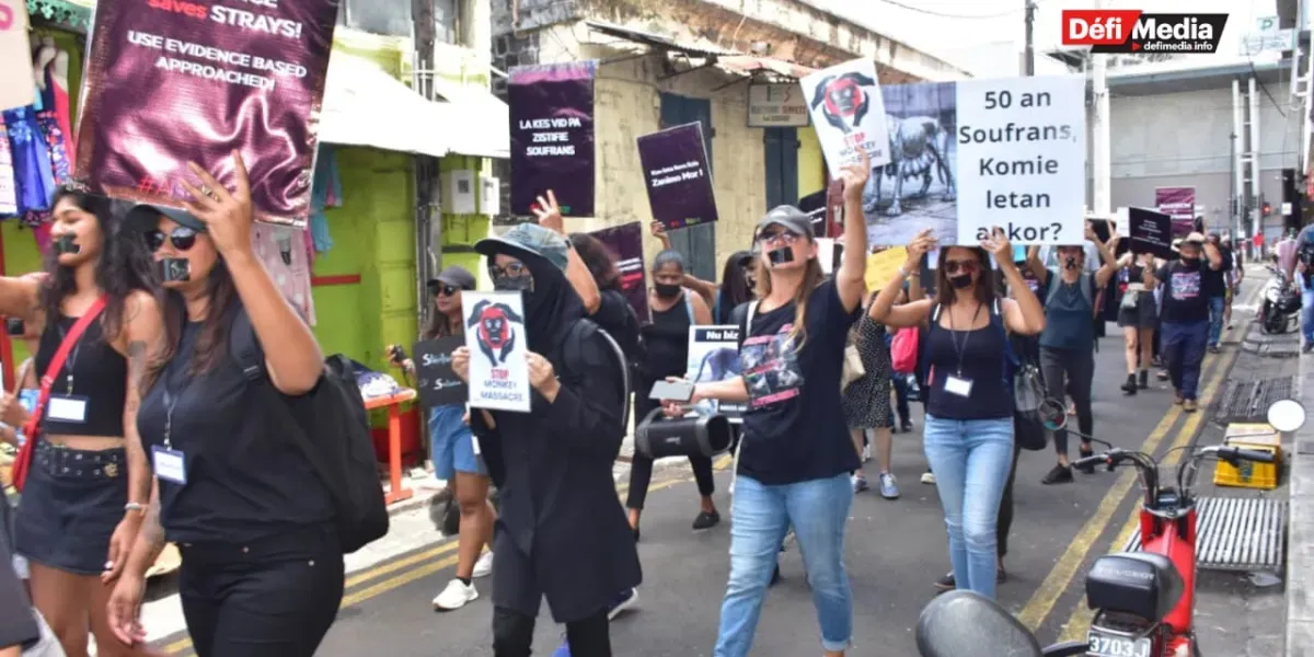 210226- marche animaux 1