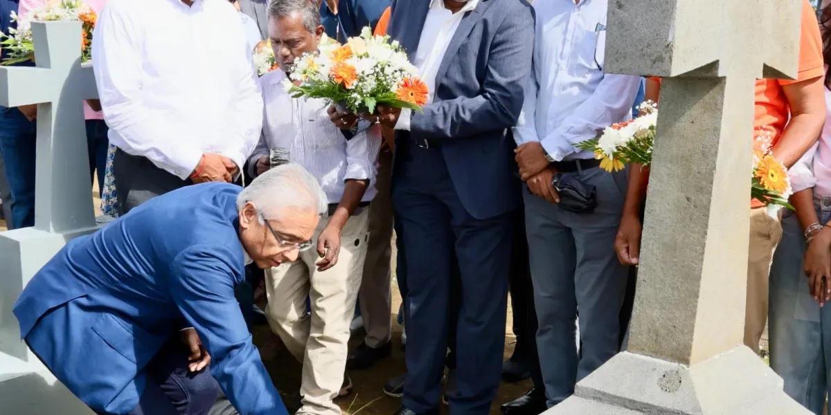 Depot de gerbes msm 7