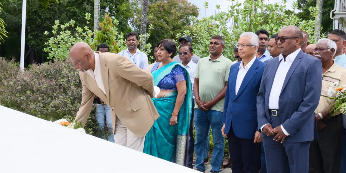 Depot de gerbes msm 10