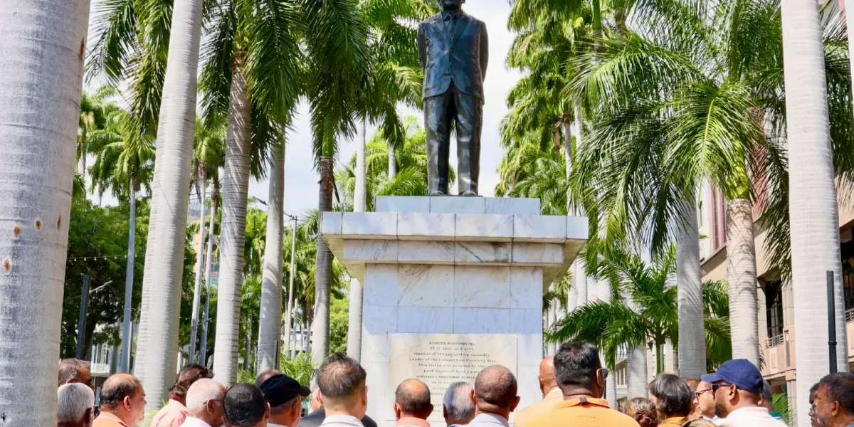 Depot de gerbes msm 6