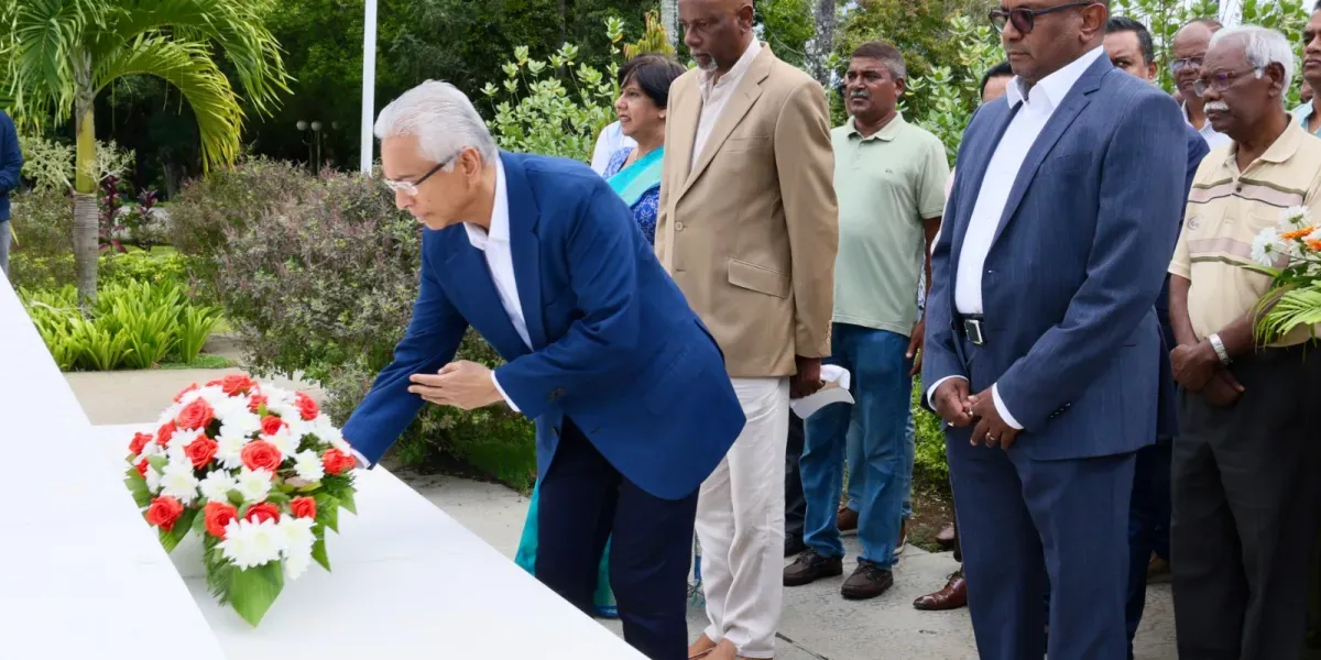 Depot de gerbes msm 9