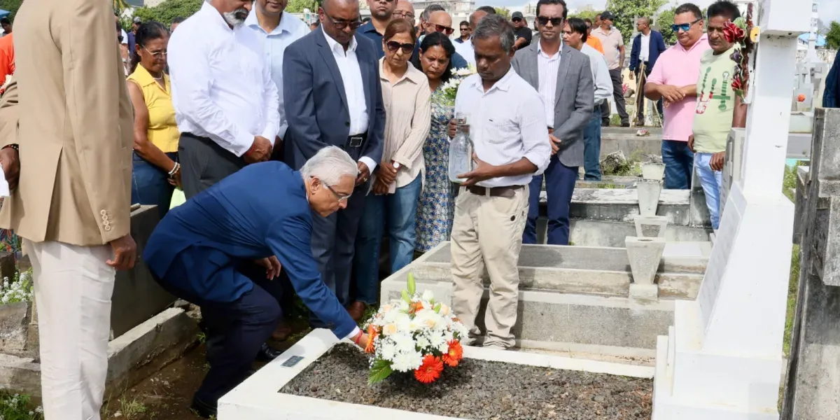 Depot de gerbes msm 3