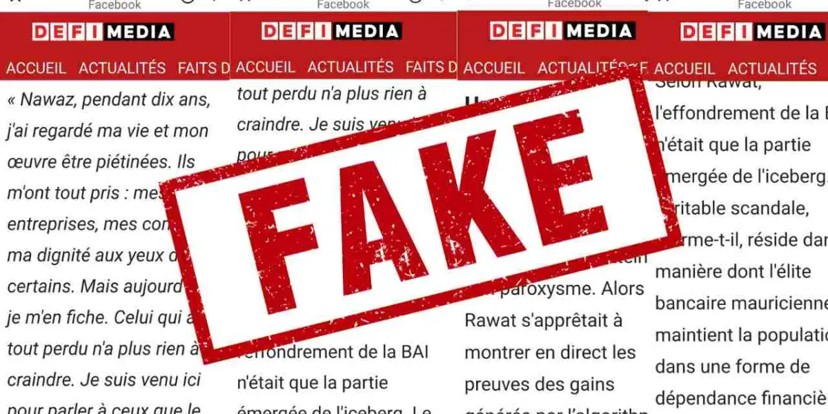 fake news (2)