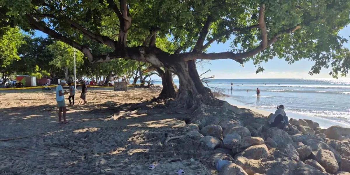 Plage Tamarin 3