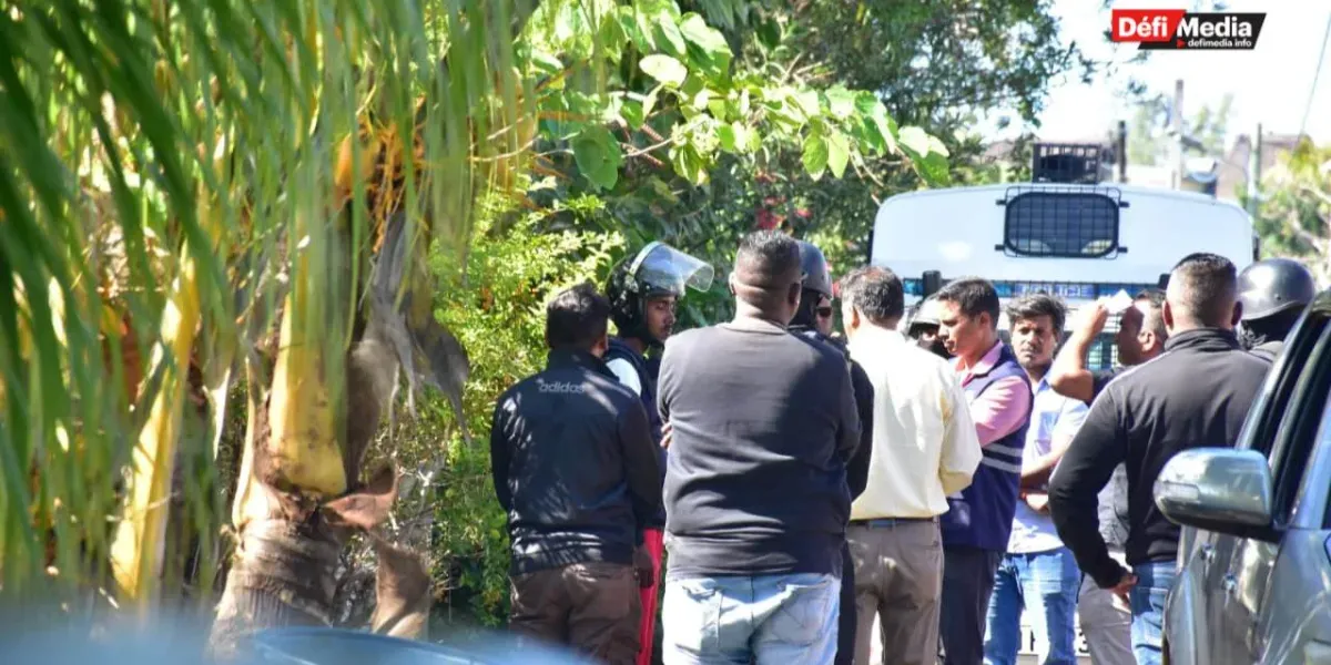 [En images] Meurtre de Gino Bodha : reconstitution des faits à Calodyne