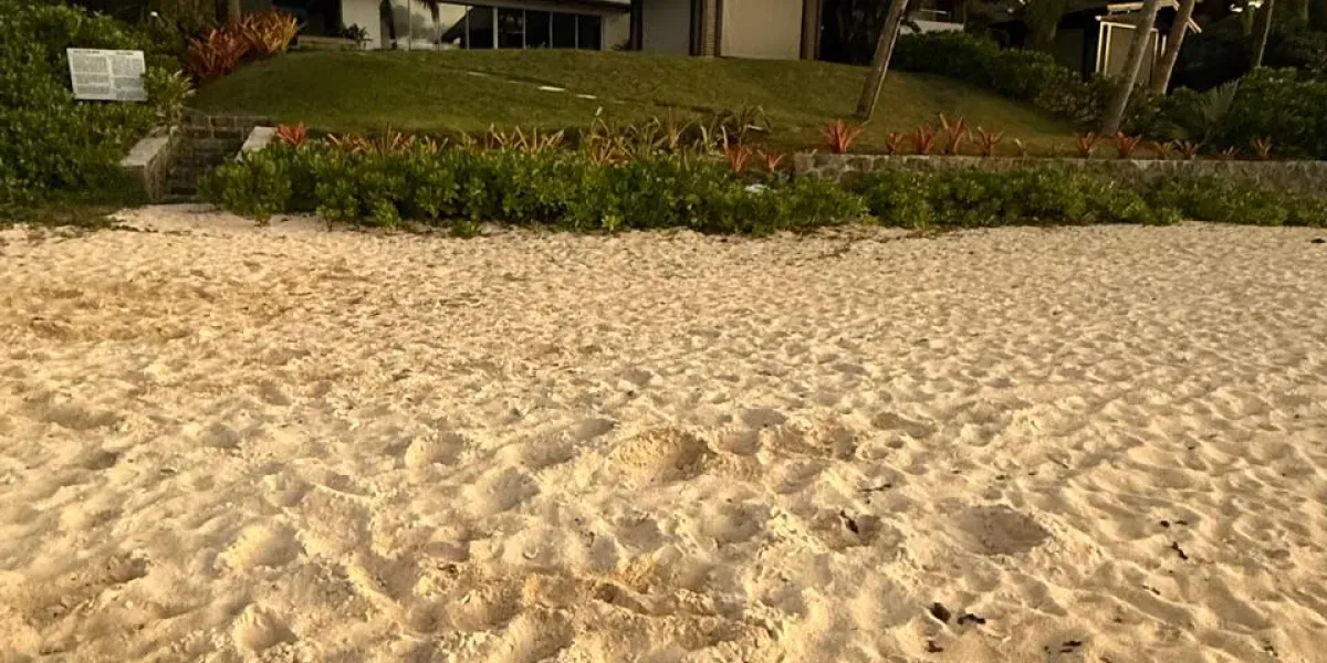 Accès aux plages : le gouvernement affirme que les panneaux interdisant l'accès au public sont illégaux