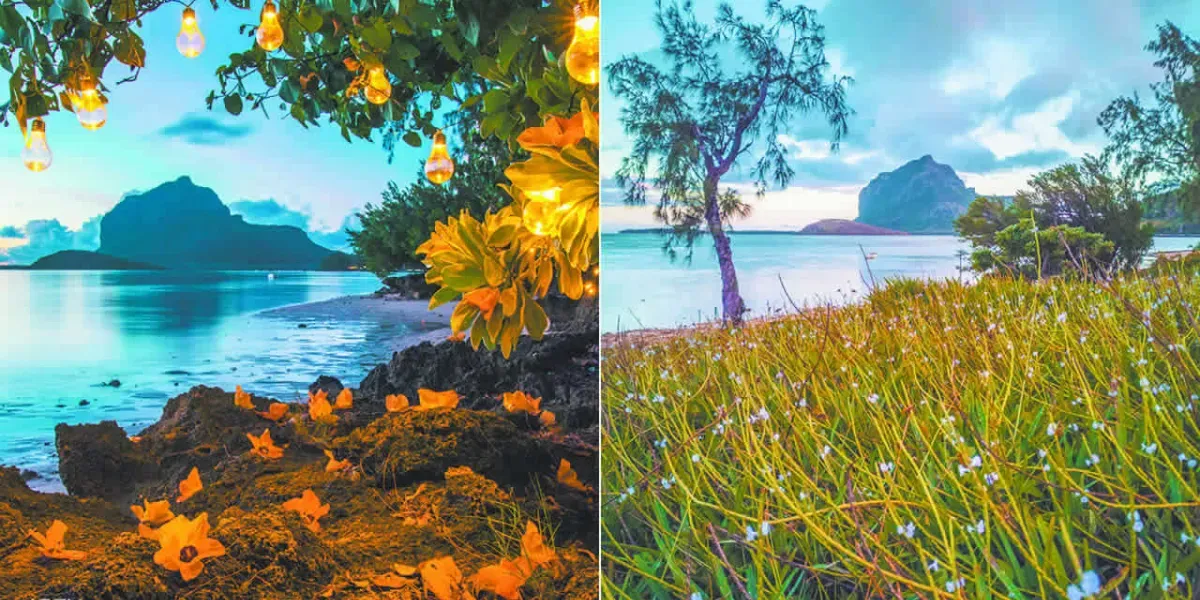 baie_du_cap