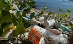 Forte affluence sur les plages publiques depuis le début de l’année : près de 500 tonnes de déchets retirées