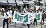 Marche du Kolektif 420 : appel à la légalisation du cannabis face à la montée des drogues synthétiques