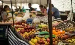 Répercussions économiques de la guerre au Moyen-Orient – Sécurité alimentaire : voici les décisions prises