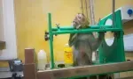 Animals International interpelle le président de la République sur le sort des macaques exportés pour la recherche