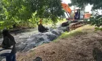 Pollution à Pointe-aux-Sables : duel à distance entre Joanna Bérenger et Rajesh Bhagwan