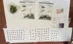 Opération de l’ADSU : neuf plants et 1 190 semences de cannabis saisis à Cité St-Louis
