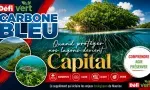 6 femmes, 3 000 mangroves, et une mission : sauver nos lagons