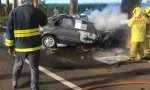 Sécurité routière : malgré le permis à points, 59 morts sur nos routes en cinq mois
