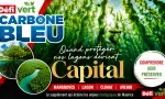 Carbone Bleu : quand protéger notre lagon devient capital