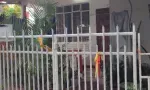 Drame à La Source : un couteau récupéré, la compagne de la victime arrêtée 