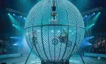 Du Globe de la Mort à l’éléphant robotisé : le Cirque Achille Zavatta dévoile son nouveau show