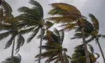 Météo : des pluies intermittentes et des rafales de 60 km/h attendues ce mercredi 