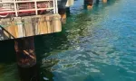 Au port : environ 200 litres d'huile lourde déversés après une fuite sur un pipeline 