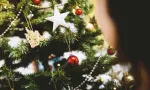 Sapins et décorations de Noël : une facture d’importation de plus de Rs 61 millions  