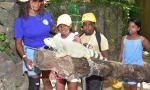 Des enfants à la rencontre des reptiles à La Vanille Nature Park