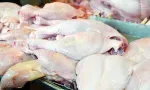 Flambée des prix du poulet et des œufs : la Competition Commission ouvre une enquête sur la filière avicole